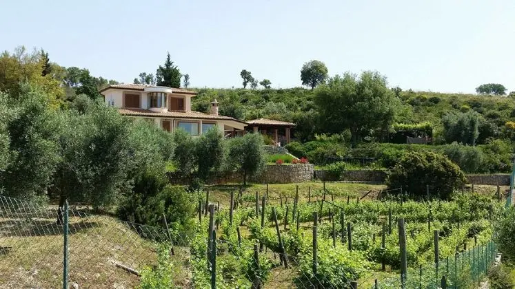 Uva Stelle Maison Detached Villa in the Hills of Sperlonga - Öne Çıkan Resim