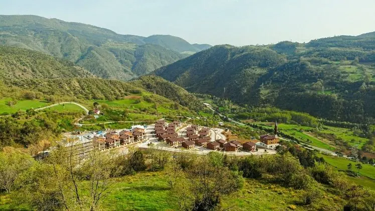 V Orman Resort - Genel