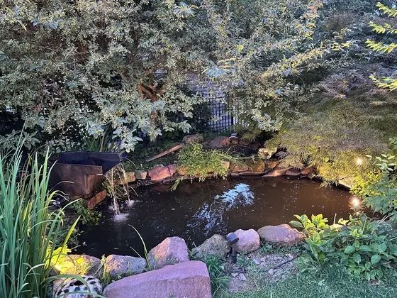 VAAST Bed & Breakfast - Dış Mekan