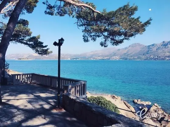 Vacation house Cavtat - Dış Mekan