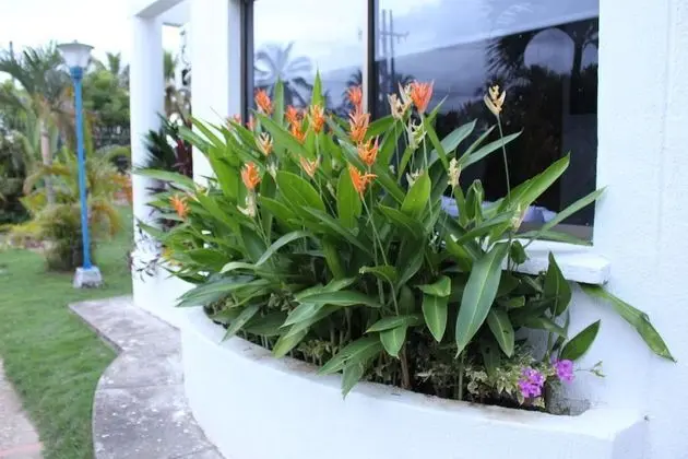 VAIA HOTELES - Dış Mekan