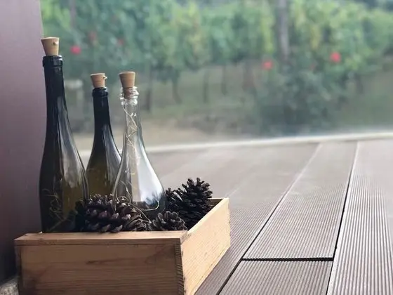 Vald'arêgos Douro Turismo Rural - Lobi