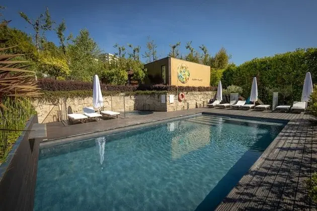 Vale de São Torcato Houses and Wine Bar