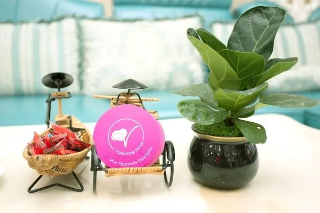 Valentine Hotel Saigon - Havuz