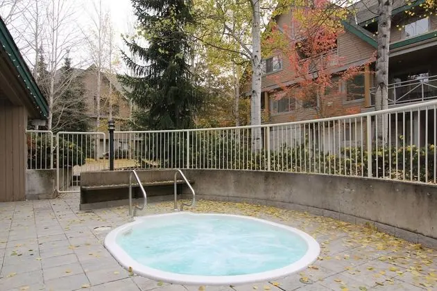 Valhalla Condos by Whistler Retreats - Havuz