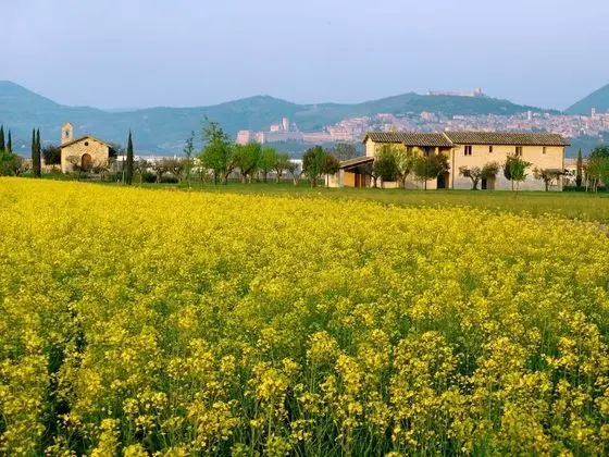 Valle di Assisi Country Apartments - Dış Mekan