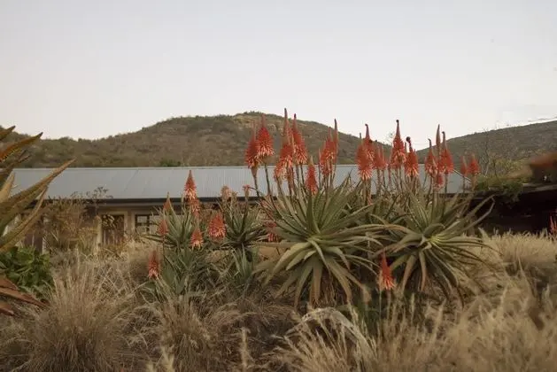 Valley Lodge - Babanango Game Reserve - Dış Mekan
