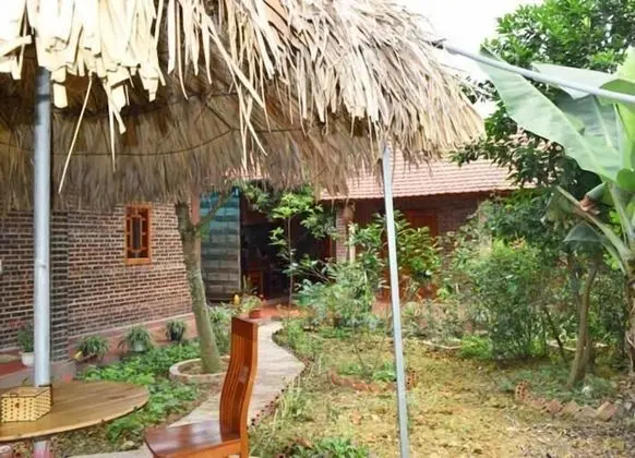 Van Long Family Homestay