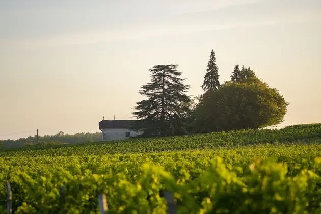 VANDENBELD Wines B&B