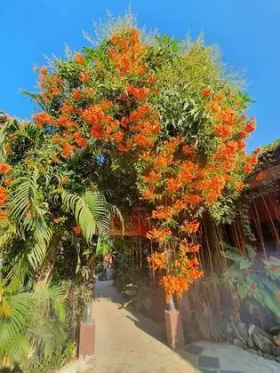 Vang Vieng Garden Bungalow