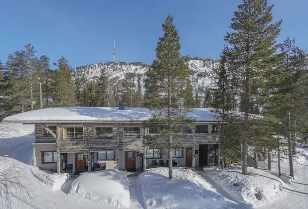 Vanhan Karhun apartments