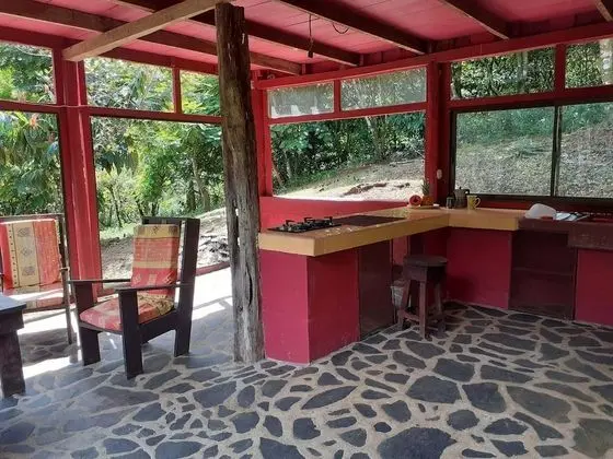 Vanilla Jungle Lodge - Bed & Breakfast - Oda Düzeni