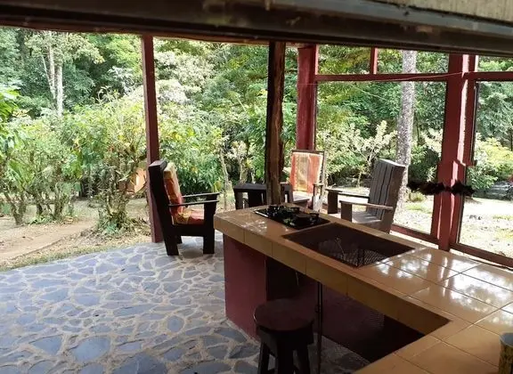 Vanilla Jungle Lodge - Bed & Breakfast - Oda Manzaraları