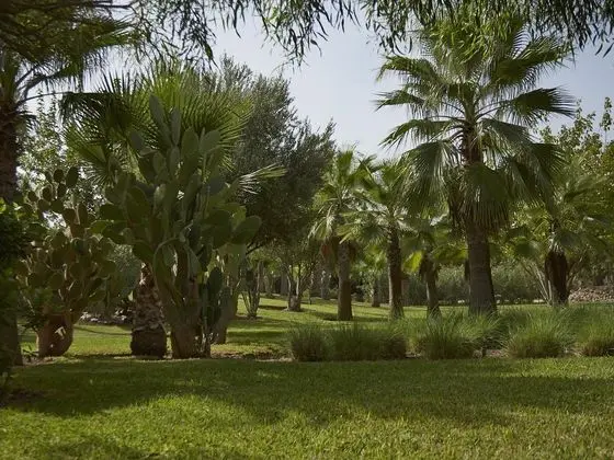Villa Vanille - Genel