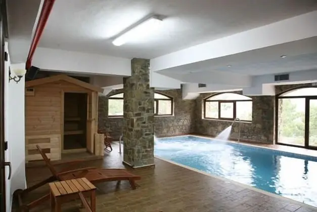 Vasilitsa Spa Resort - Havuz