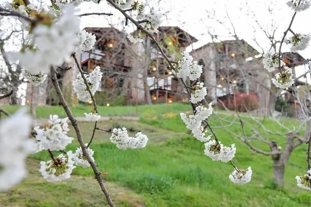 Vathyskia Guesthouse - Dış Mekan