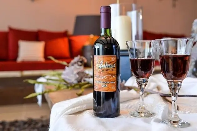 Vathyskia Guesthouse - Oda Düzeni
