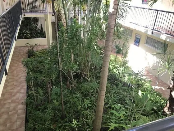 Villa Vaucluse Apartments of Cairns - Dış Mekan