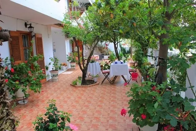 Vaya Zorba Studios