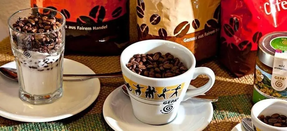 VCH-Hotel Spenerhaus