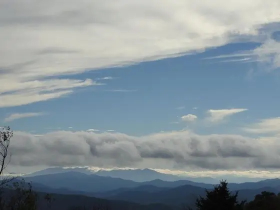 VCI - Elderberry Overlook