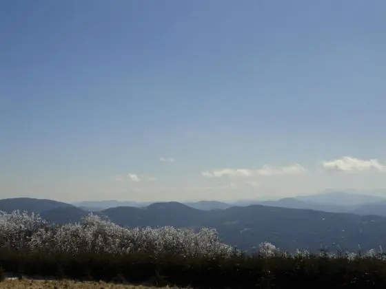 VCI - Tundra Swan Chalet - Dış Mekan