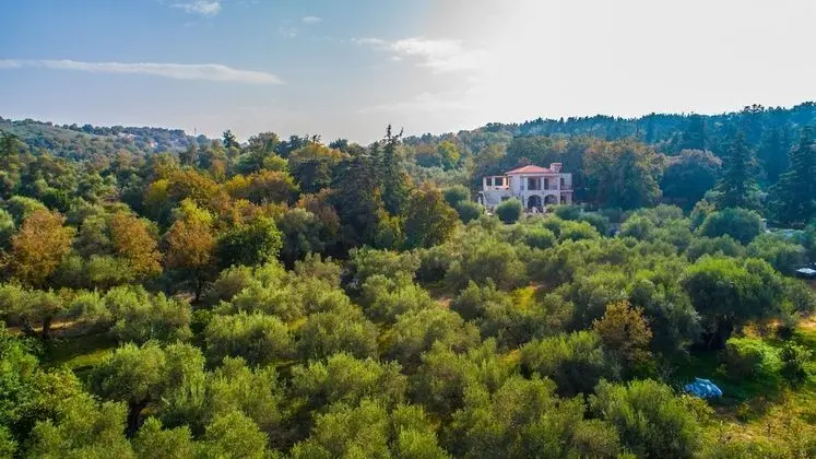 Vederi Estate - Dış Mekan