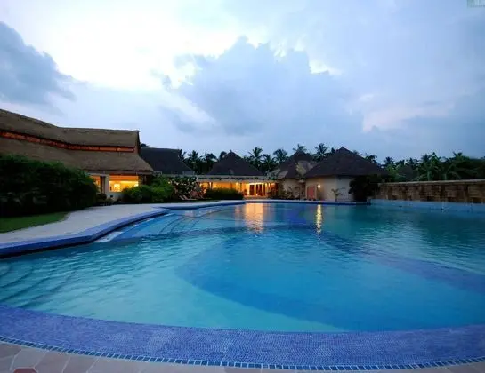Vedic Village Spa Resort - Havuz