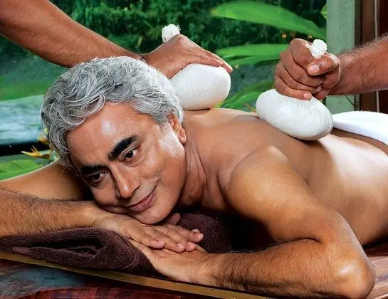 Vedic Village Spa Resort - Spa