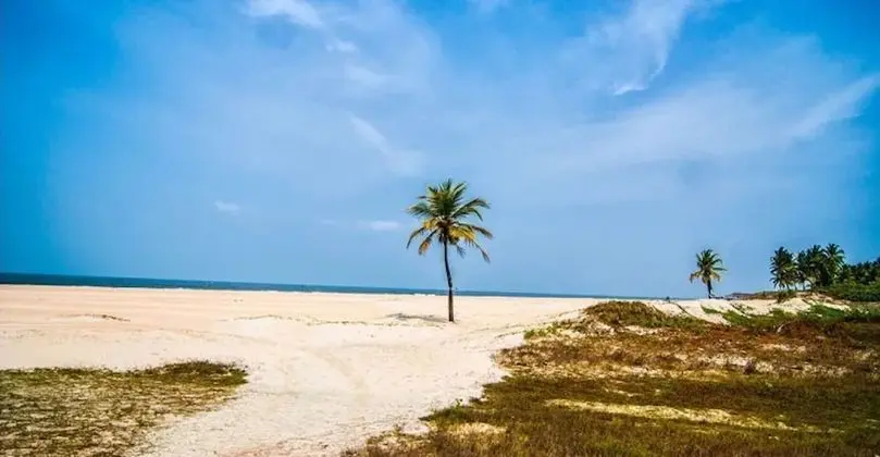 Veeniola Apartment - Stay in Goa - Plaj