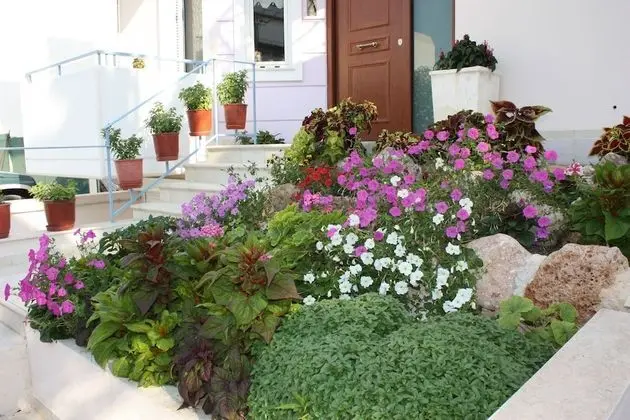 Veggie Garden Athens B&B - Dış Mekan