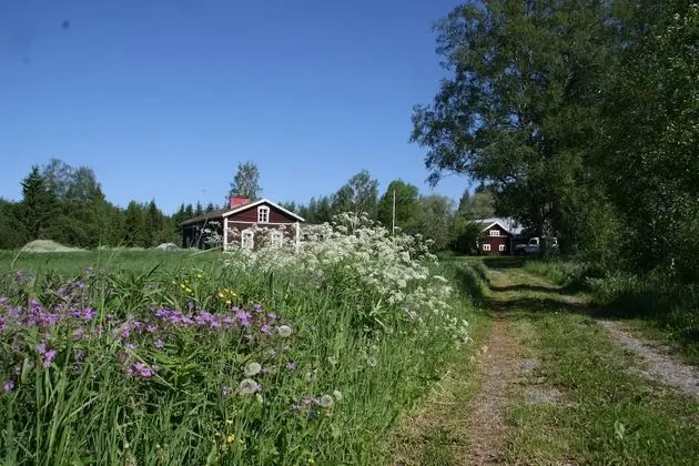 Vehkaniemi Holyday Estate - Dış Mekan