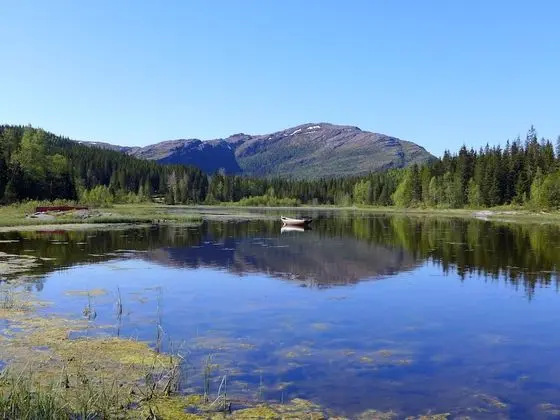 Velfjord camping & hytter