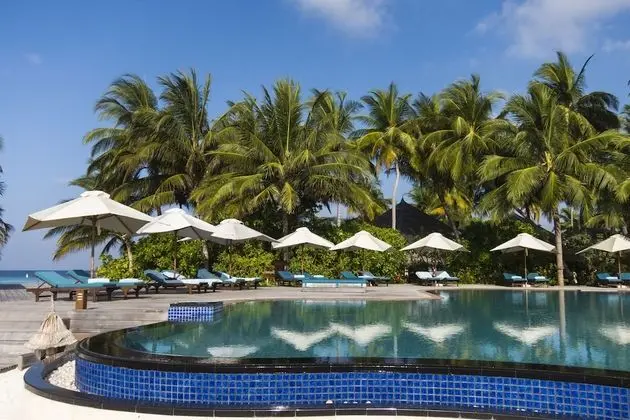 Veligandu Island Resort & Spa - Havuz