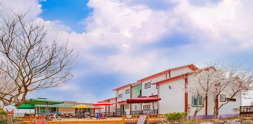 Vellise Pension