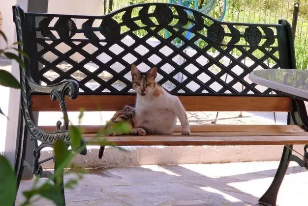Venetia's Seaside Garden Home - Dış Mekan