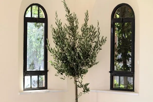 Villa Veneziano - Dış Mekan