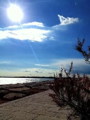 Villa Venice Movie - Plaj