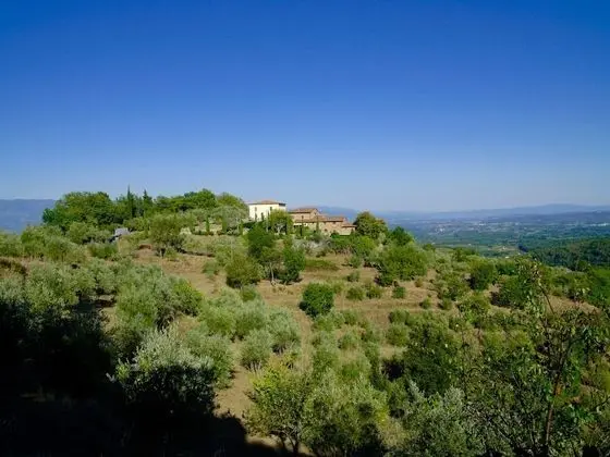 Ventena Vecchia Antico Frantoio - Öne Çıkan Resim