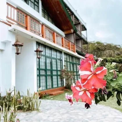 Verdant Hotel & Holistic Experience - Dış Mekan