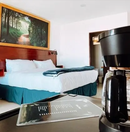 Verdant Hotel & Holistic Experience - Oda
