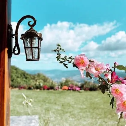 Verdant Hotel & Holistic Experience - Öne Çıkan Resim