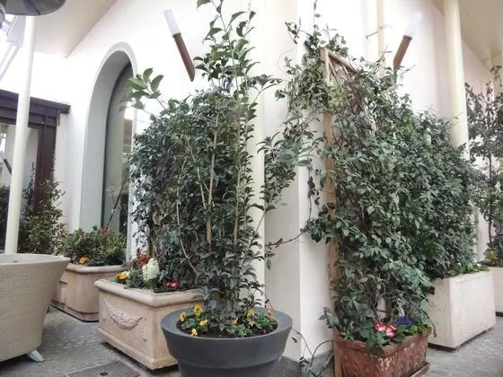 Hotel Verdi