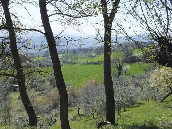 Verdidea - Colombaio - Dış Mekan