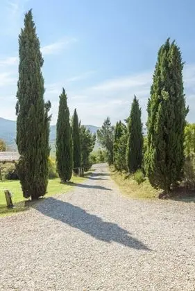 Verdidea - Podere del Mezzadro - Dış Mekan