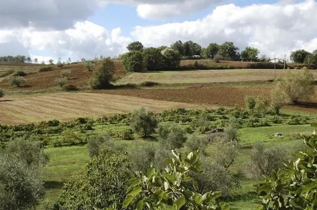 Verdidea - Podere Isabella - Dış Mekan
