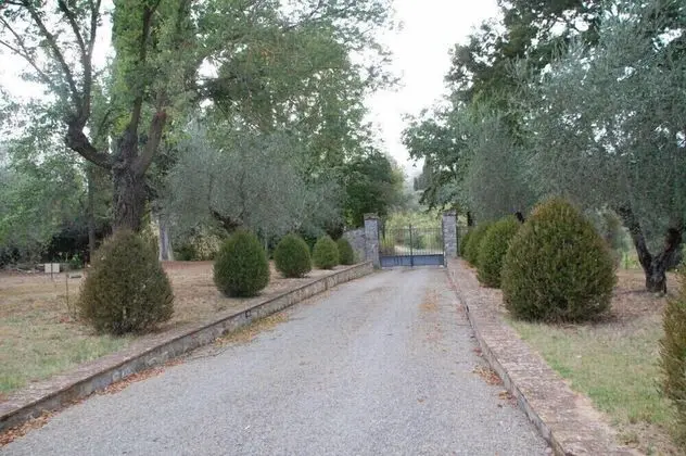 Verdidea - PODERE PALAZZONE - Dış Mekan