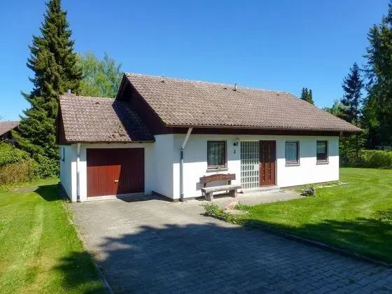 Vergissmeinnicht L Ffingen