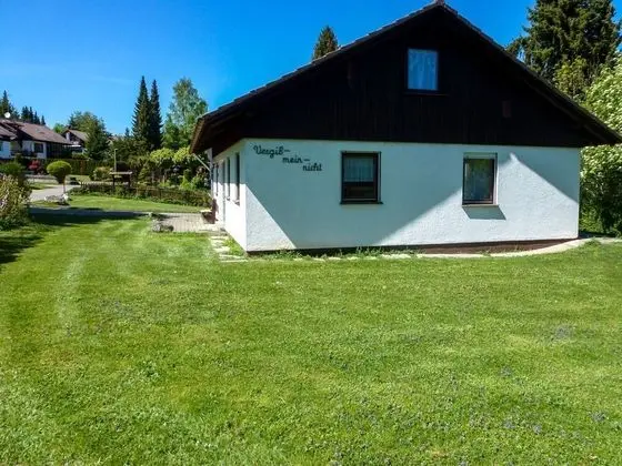 Vergissmeinnicht L Ffingen