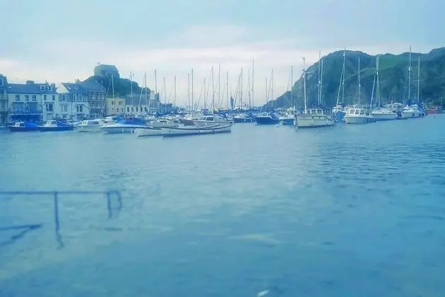 Verity and Ilfracombe Harbour View - Dış Mekan